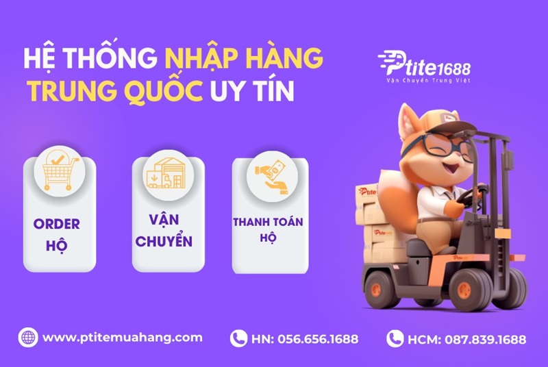 công ty ptite logistics