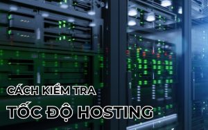 kiểm tra tốc độ hosting