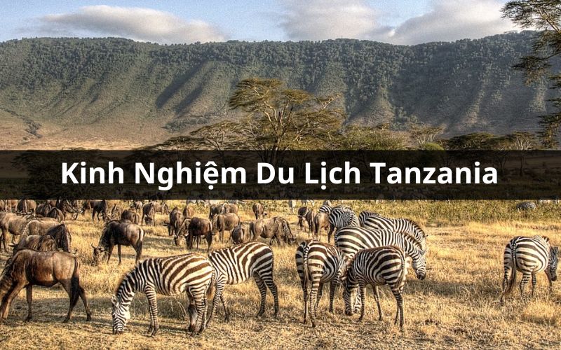 kinh nghiệm du lịch tanzania