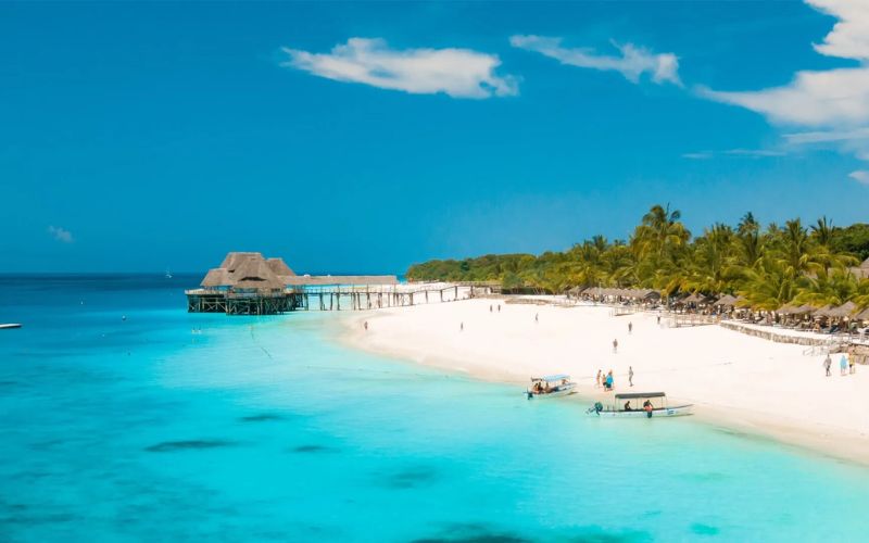 Thời điểm lý tưởng để du lịch Tanzania