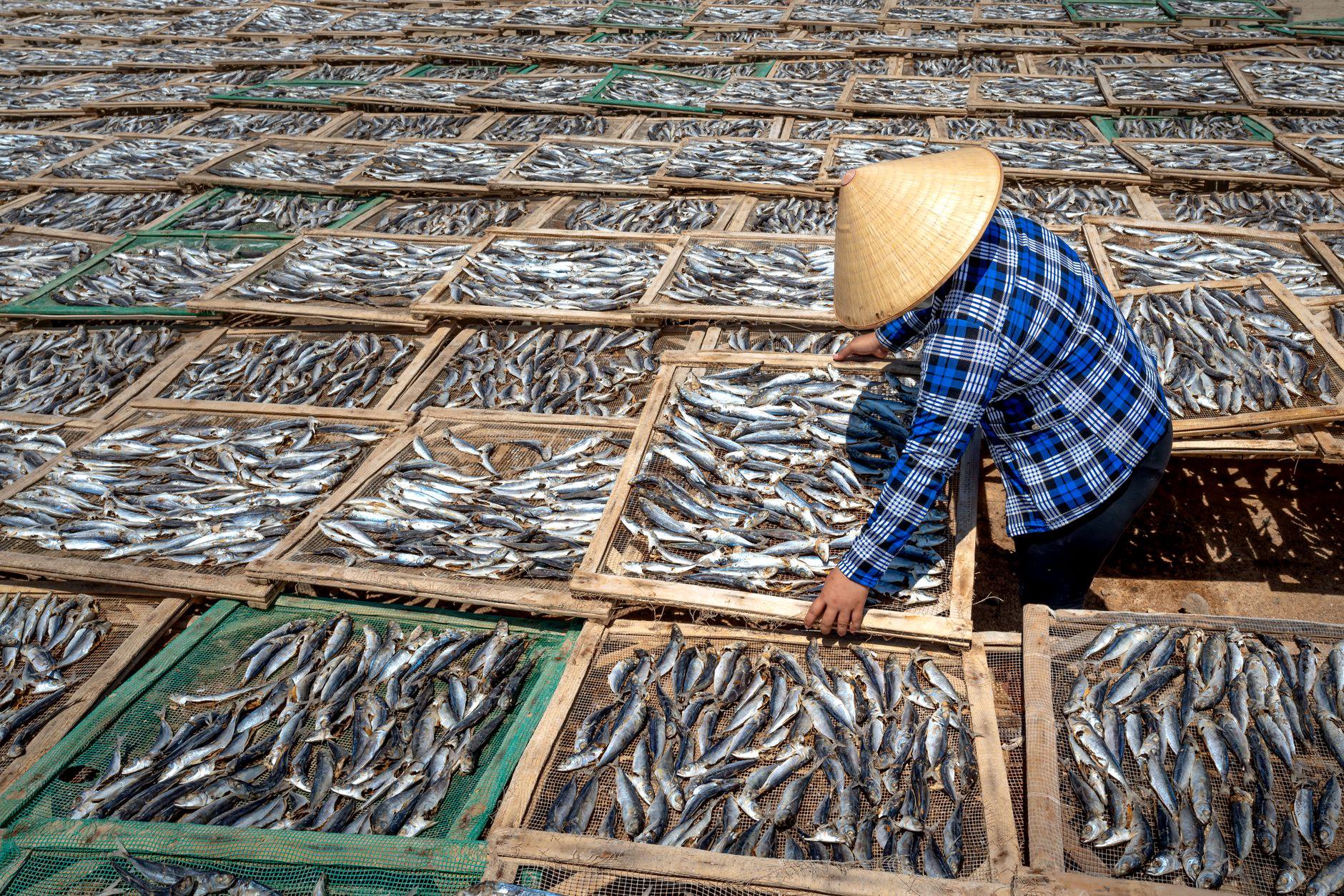 Nguyên nhân khiến hàng thực phẩm khô dễ bị mối mọt, ẩm mốc